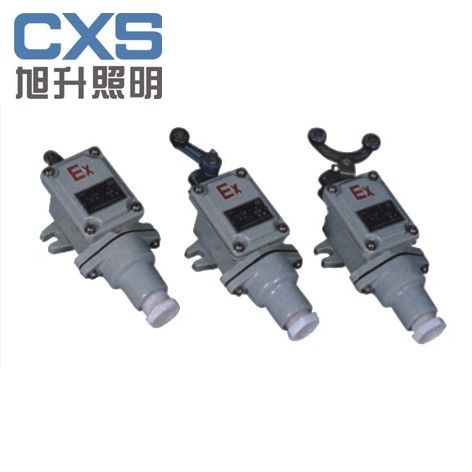 供应CBXK-6/BZX51-6/BLX5/LX5系列防爆行程开关